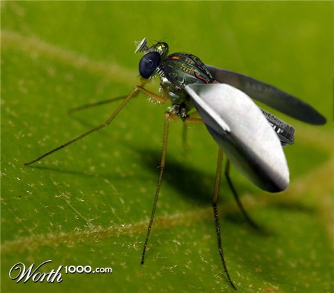 Photoshop Design by Tygurtar