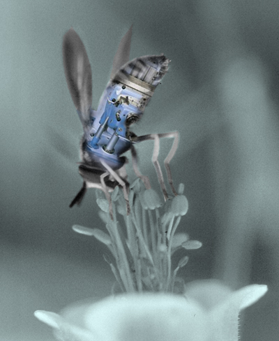 Photoshop Design by kousalya for DesignCrowd (Community Contests) | Design #9085390