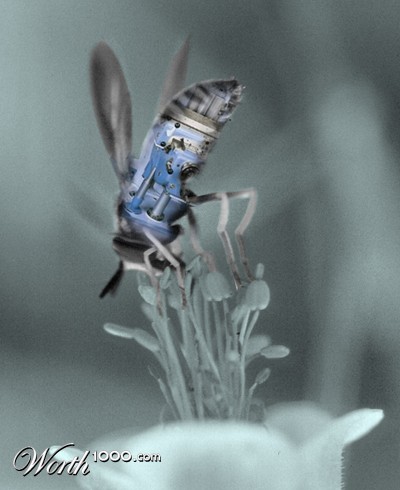 Photoshop Design by kousalya