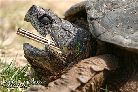 Photoshop Design by SkiDesignS