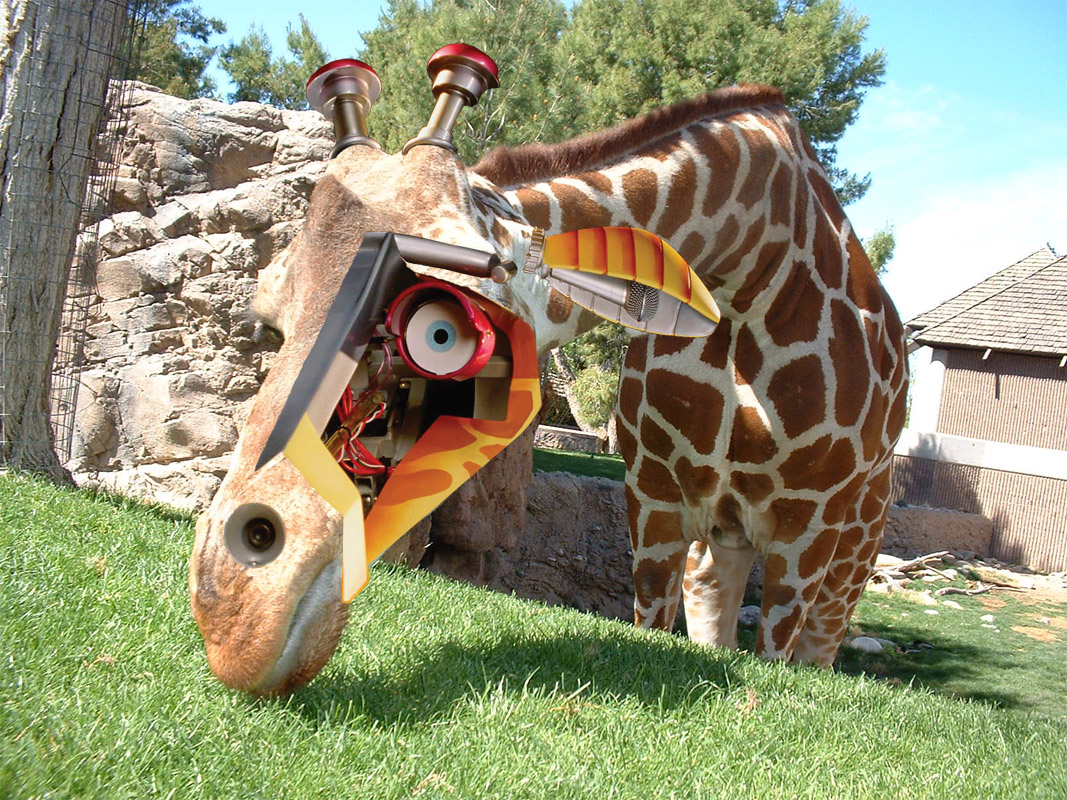 Photoshop Design by madflea for DesignCrowd (Community Contests) | Design #9085384