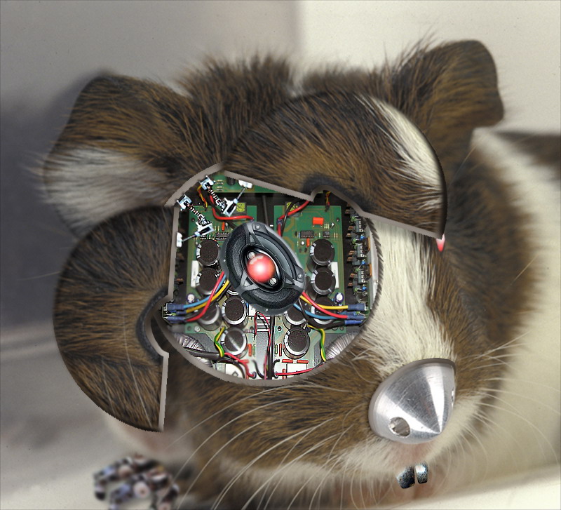 Photoshop Design by jayjay007 for DesignCrowd (Community Contests) | Design #9085387