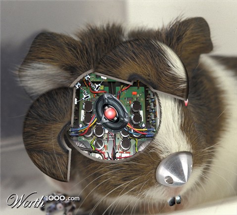 Photoshop Design by jayjay007