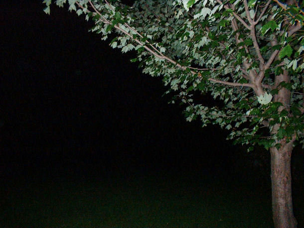 Photography by angel2kiss for DesignCrowd (Community Contests) | Design #9078346