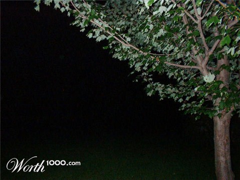 Photography by angel2kiss