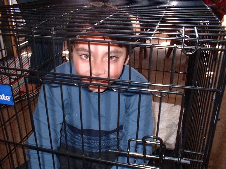 Photography by angel2kiss for DesignCrowd (Community Contests) | Design #9085255