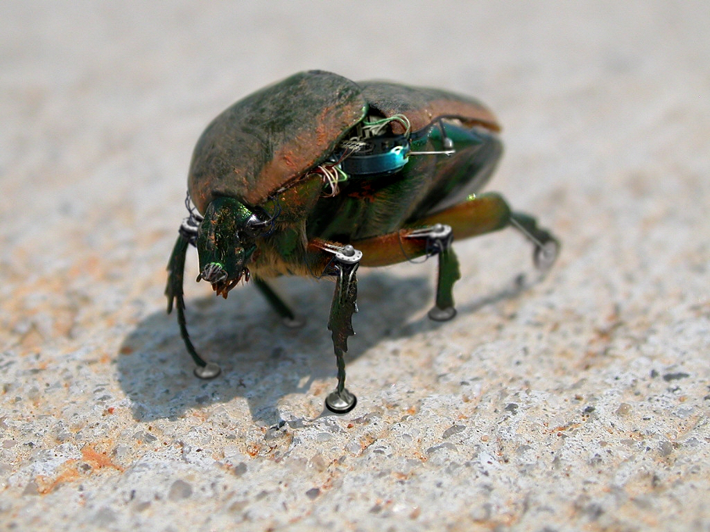 Photoshop Design by Gnat for DesignCrowd (Community Contests) | Design #9085397