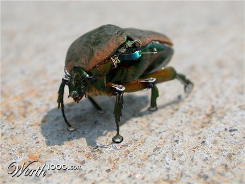 Photoshop Design by Gnat