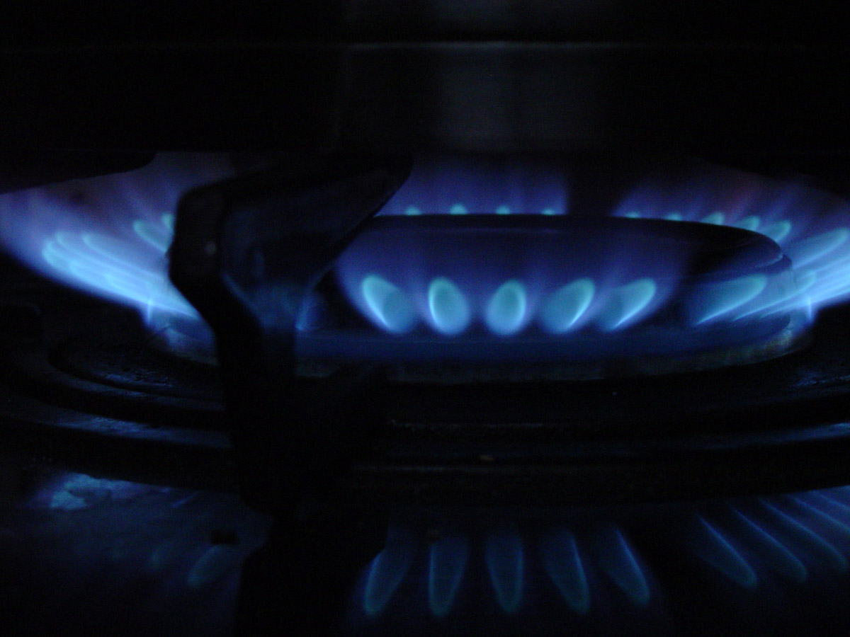 Photography by anviss for DesignCrowd (Community Contests) | Design #9083738