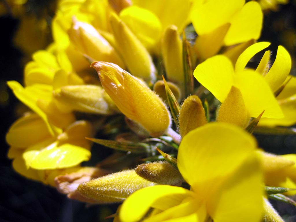 Fotografie von johnnymaxwell für DesignCrowd (Community Contests) | Design #9082742