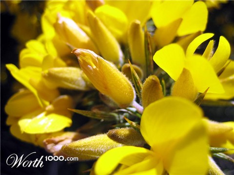 Photography by johnnymaxwell