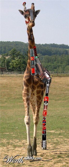 Photoshop Design by mostart