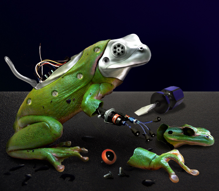 Photoshop Design by Norrit for DesignCrowd (Community Contests) | Design #9085451