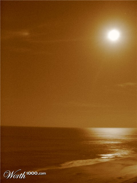 Photography by CurlyJ