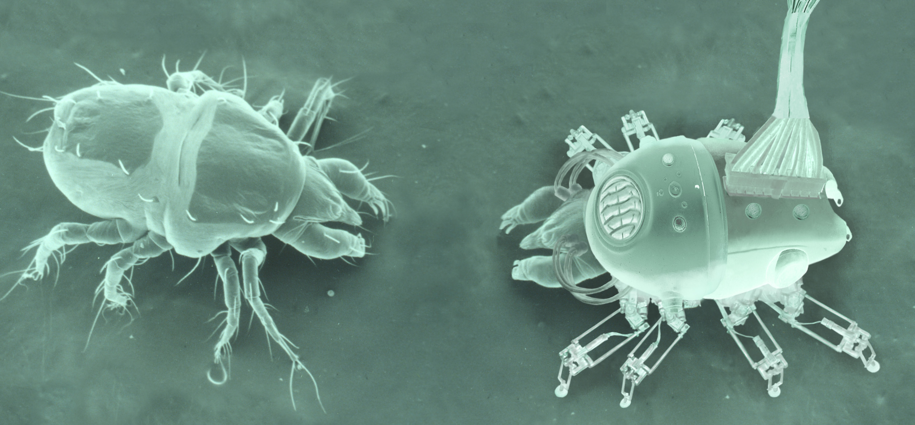 Design Photoshop par GutterMonkey pour DesignCrowd (Community Contests) | Design #9085569