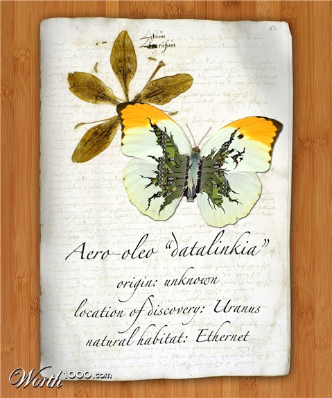 Photoshop Design by uniball