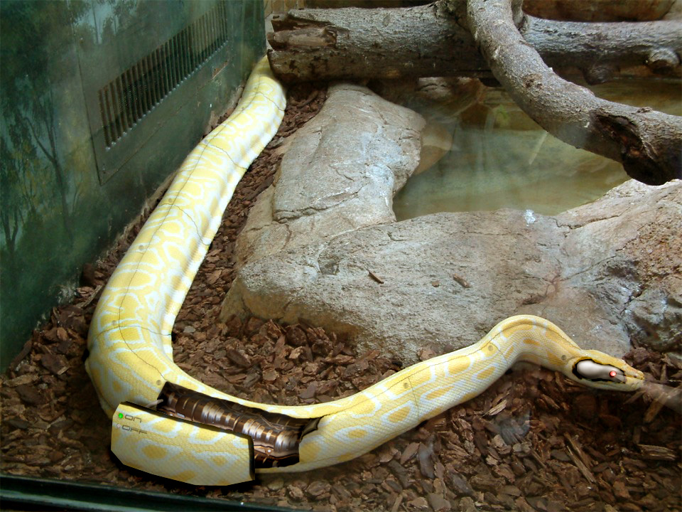 Design Photoshop par diversi0n pour DesignCrowd (Community Contests) | Design #9085541