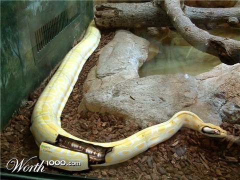 Photoshop Design by diversi0n