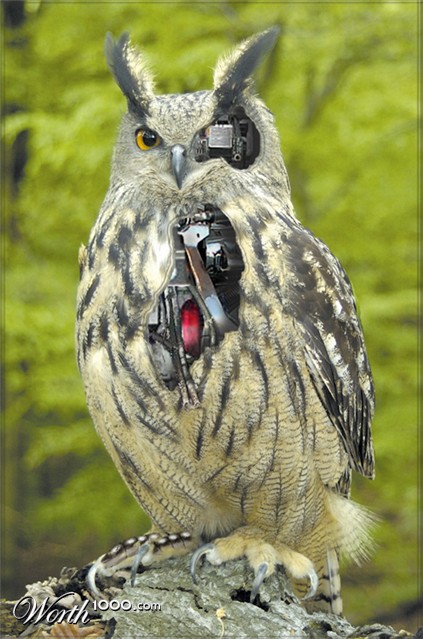 Photoshop Design by darkwhite