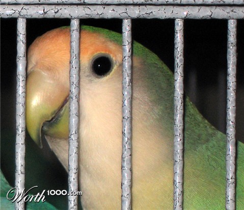 Photography by jachang