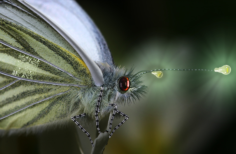 Photoshop Design by msNicole for DesignCrowd (Community Contests) | Design #9085563