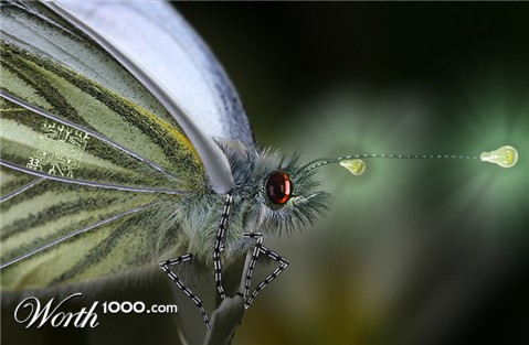 Photoshop Design by msNicole