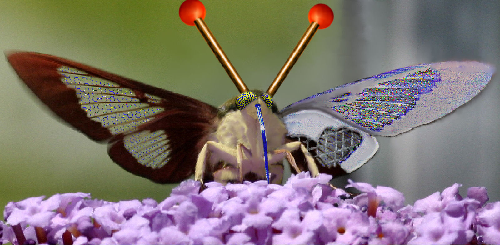 Photoshop Design by bif248 for DesignCrowd (Community Contests) | Design #9085526