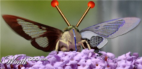 Photoshop Design by bif248