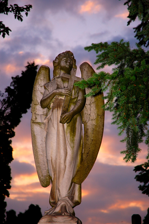 Fotografía por attacker para DesignCrowd (Community Contests) | Diseño #9085269