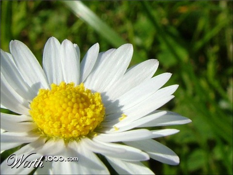 Photography by zensoul