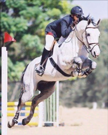 Diseño de Photoshop por lilhorseebabee para DesignCrowd (Community Contests) | Diseño #9079554