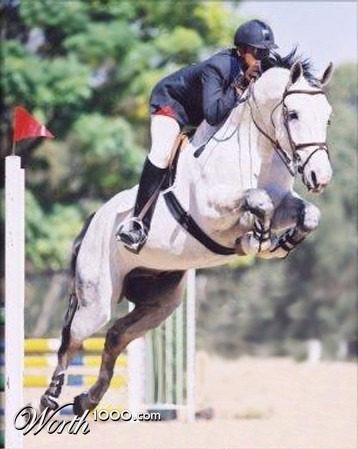 Photoshop Design by lilhorseebabee