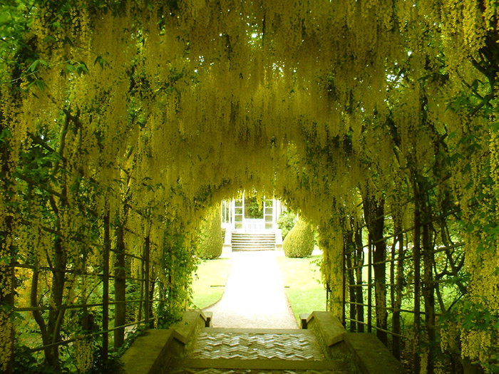 Photographie par spoofmedia pour DesignCrowd (Community Contests) | Design #9082725