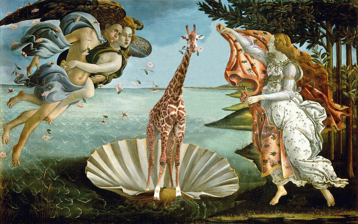 Photoshop Design by LyssaOdyne for DesignCrowd (Community Contests) | Design #9084002