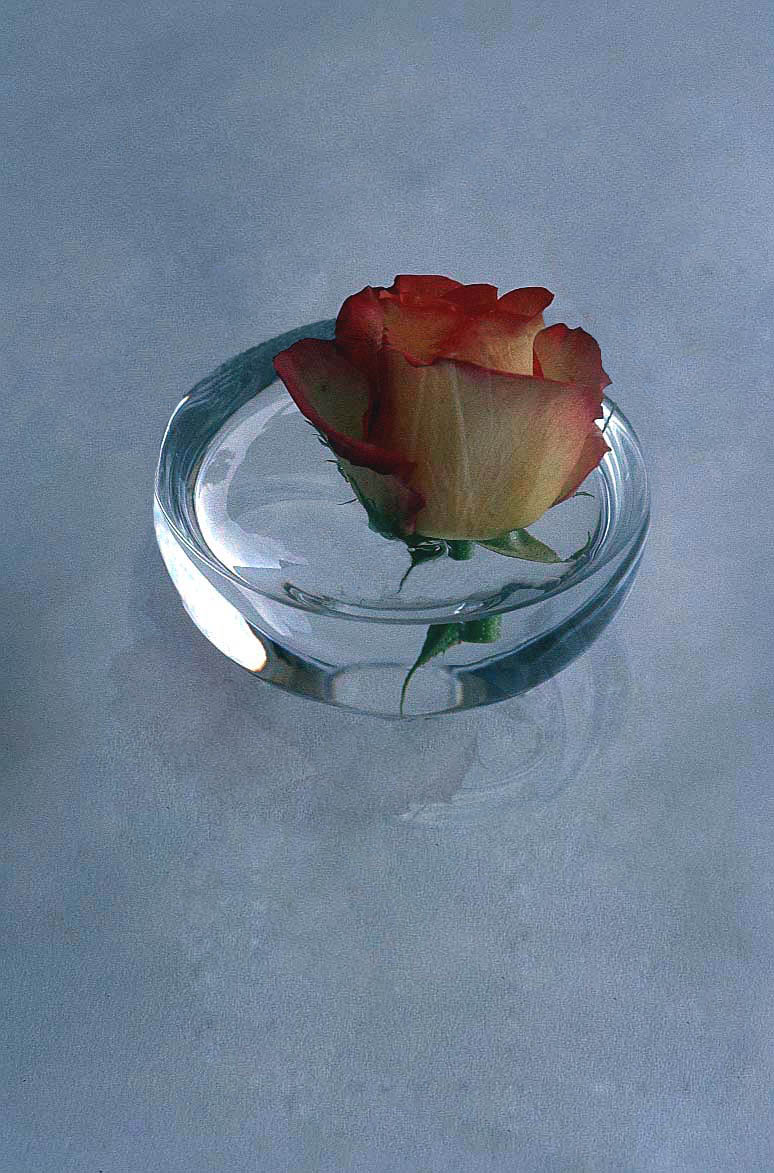 Photoshop Design by Luvianacaro for DesignCrowd (Community Contests) | Design #9079638