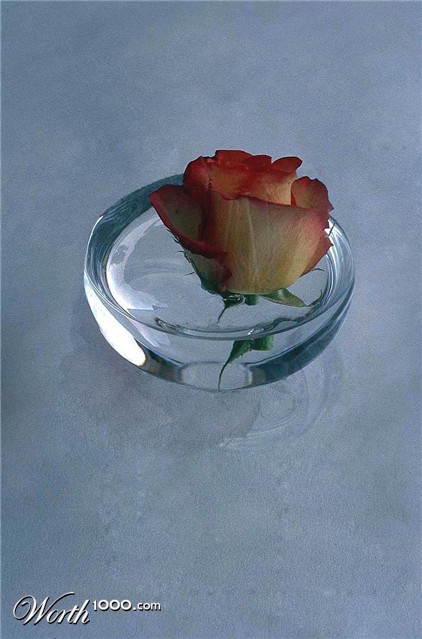 Photoshop Design by Luvianacaro