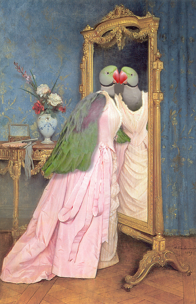 Diseño de Photoshop por duragg para DesignCrowd (Community Contests) | Diseño #9083932