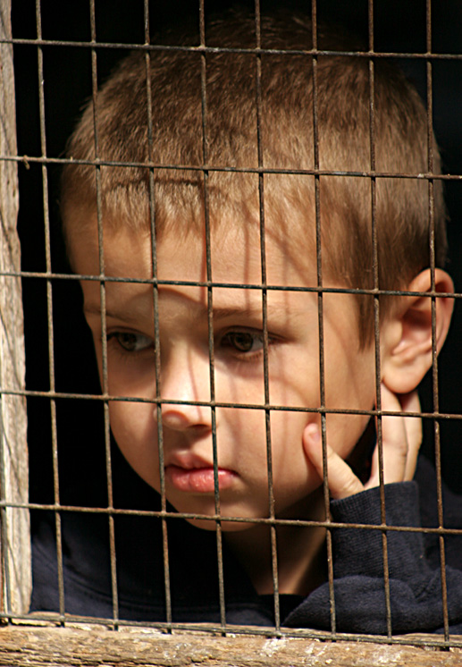 Fotografía por mellian para DesignCrowd (Community Contests) | Diseño #9085235