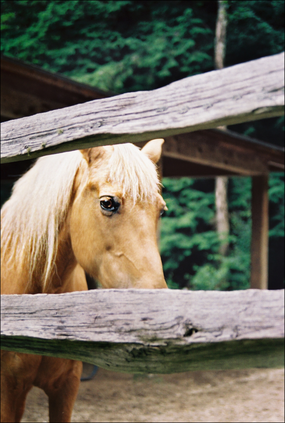 Photography by BabyGRL for DesignCrowd (Community Contests) | Design #9085253