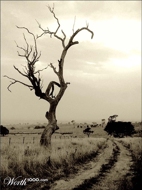 Photography by Budmulla
