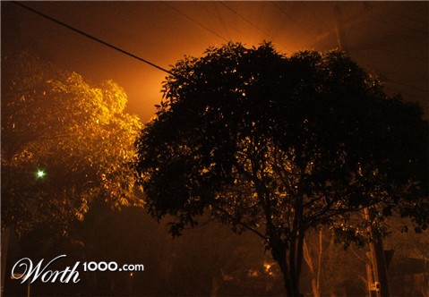 Photography by stardiaper