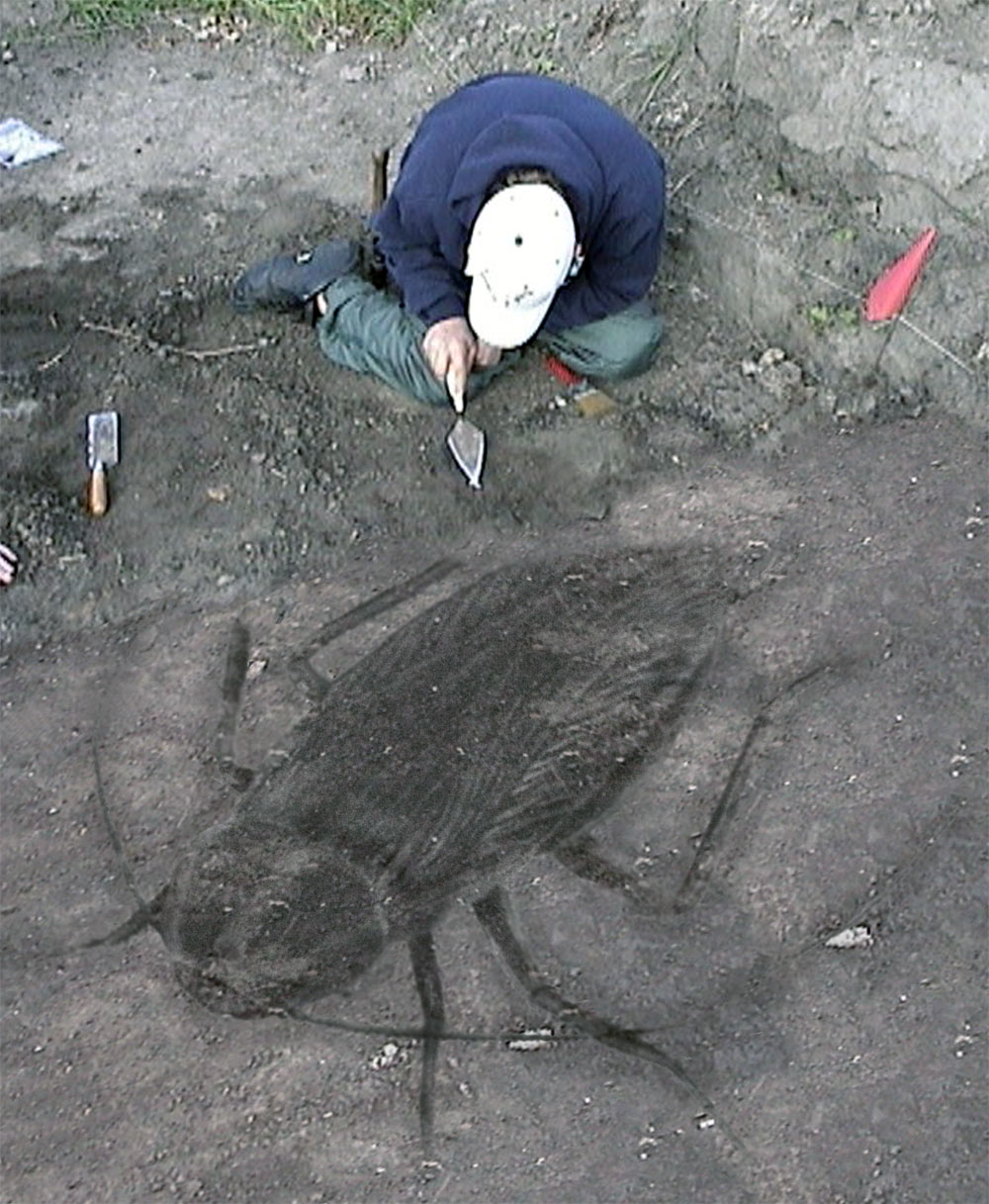 Design Photoshop par motorhead pour DesignCrowd (Community Contests) | Design #9085551