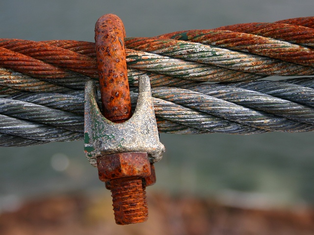 Photography by KarenC for DesignCrowd (Community Contests) | Design #9084704