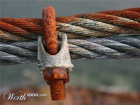 Photography by KarenC