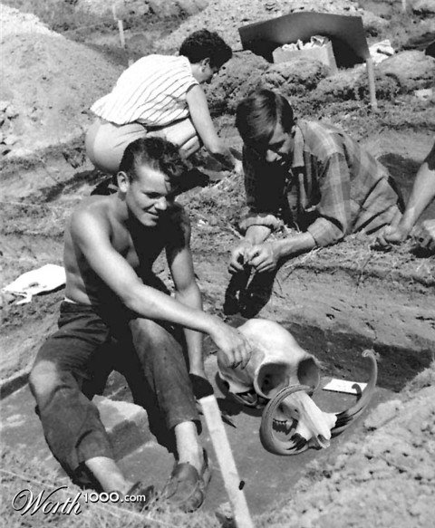 Photoshop Design by ozplasmic