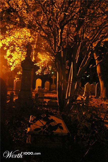 Photography by rsvphme