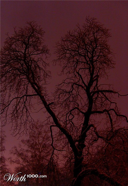 Photography by BattleAngelAlita