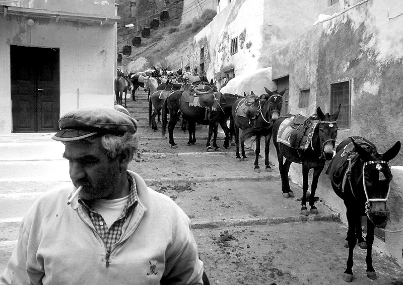 Fotografía por SixerHoo para DesignCrowd (Community Contests) | Diseño #9081732