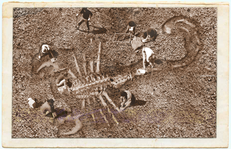 Photoshop-Design von Skorpion für DesignCrowd (Community Contests) | Design #9085581