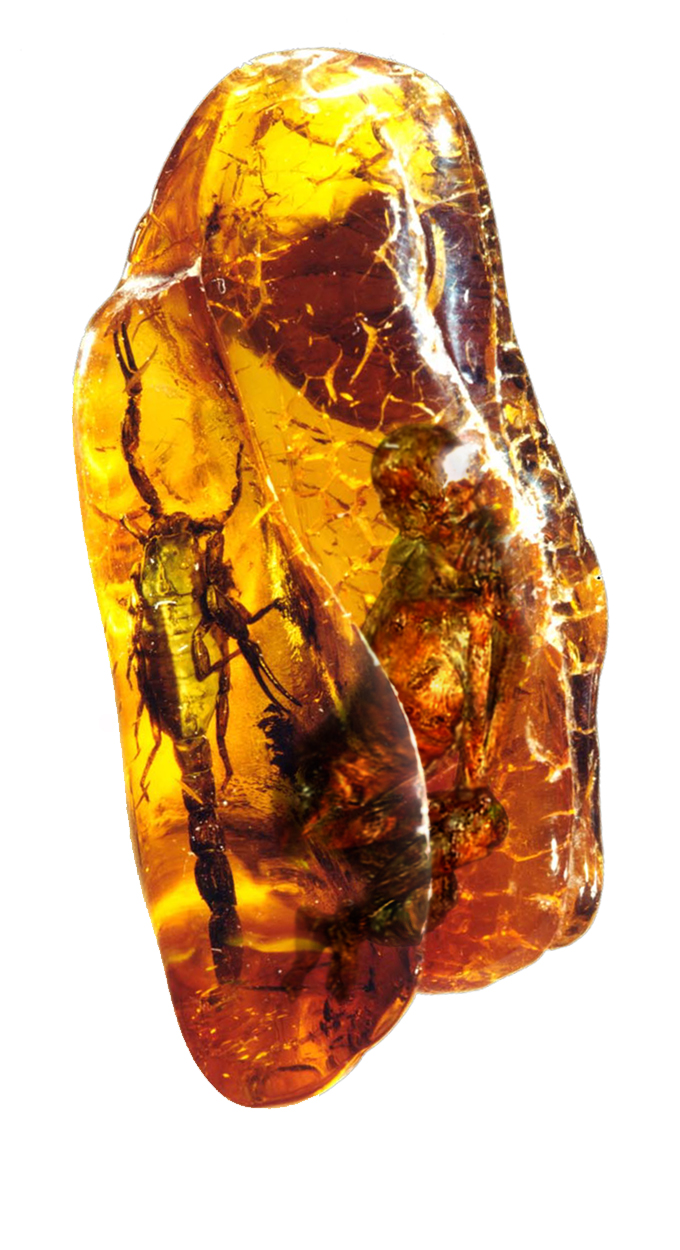 Diseño de Photoshop por strown para DesignCrowd (Community Contests) | Diseño #9085646